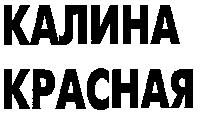 изображение из решения ППС
