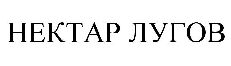 изображение из решения