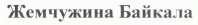 изображение из решения ППС
