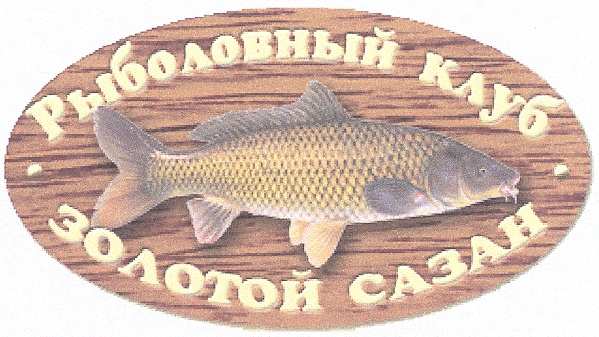 изображение из решения ППС