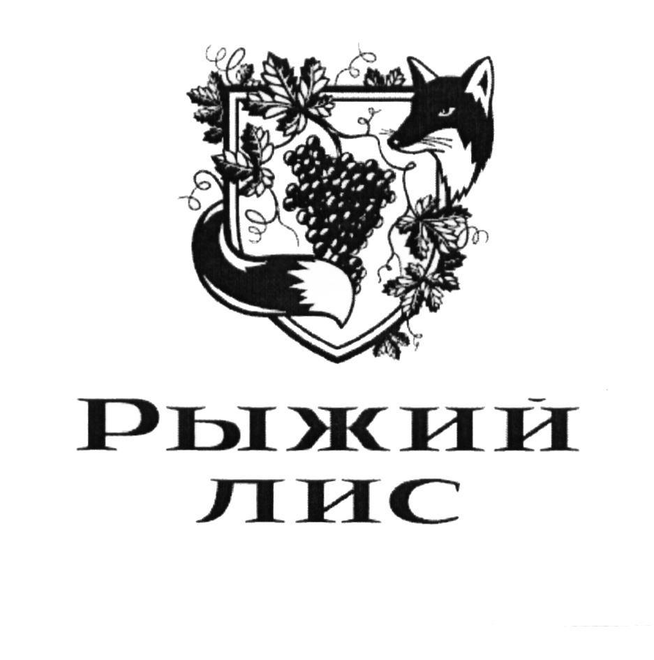 изображение из решения