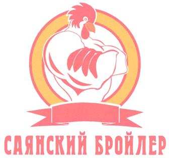 изображение из решения ППС