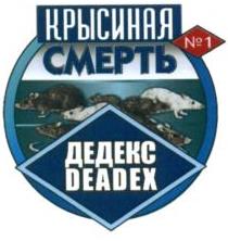изображение из решения ППС