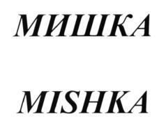 изображение из решения ППС