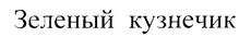 изображение из решения ППС