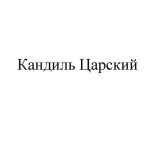 изображение из решения ППС