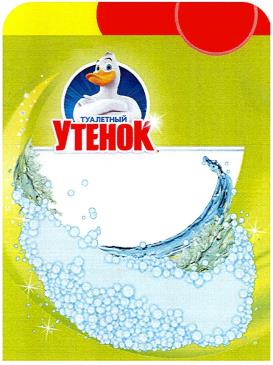 изображение из решения ППС