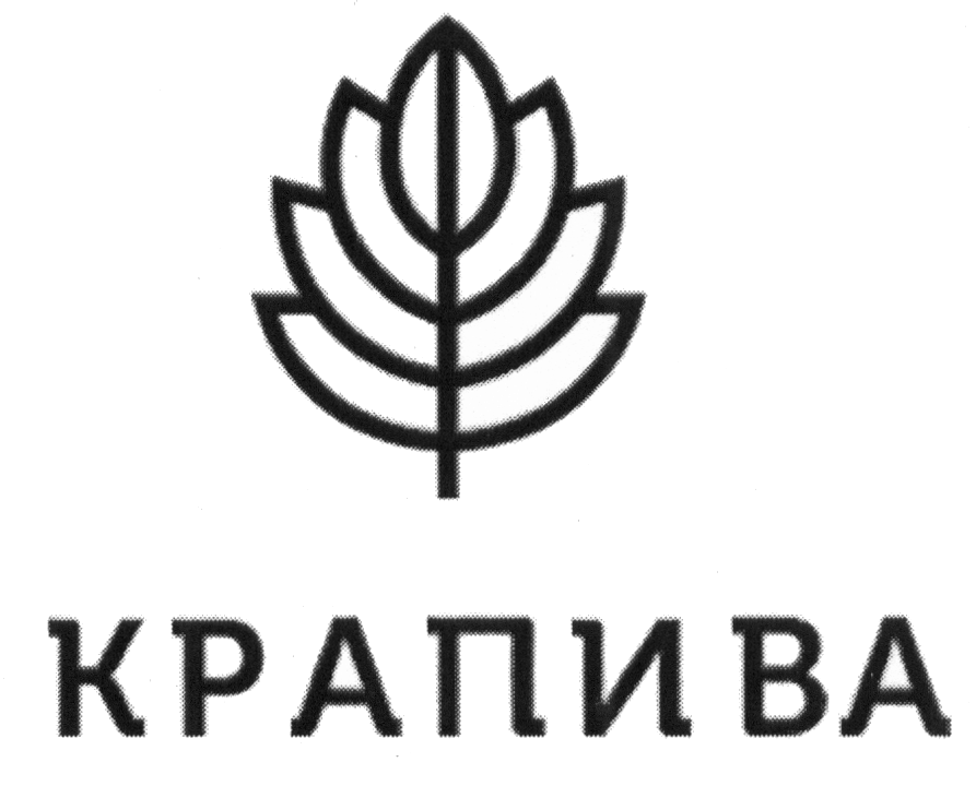 изображение из решения ППС