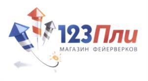 изображение из решения ППС