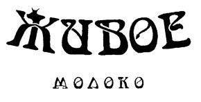 изображение из решения ППС