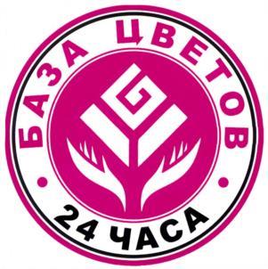 изображение из решения