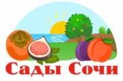 изображение из решения ППС
