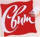 изображение из решения ППС