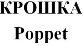 изображение из решения ППС