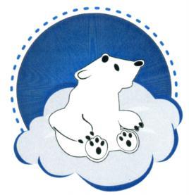 изображение из решения ППС