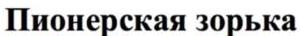 изображение из решения ППС