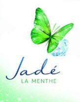 изображение из решения ППС