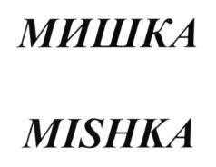 изображение из решения ППС