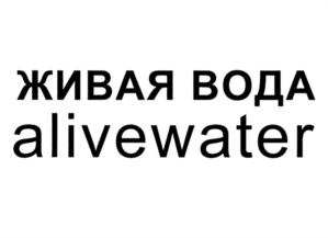 изображение из решения ППС