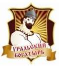 изображение из решения ППС