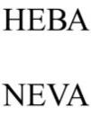 изображение из решения ППС