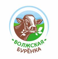 изображение из решения