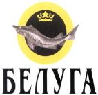изображение из решения ППС