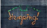 изображение из решения ППС