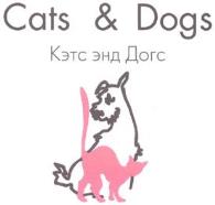 изображение из решения ППС
