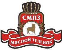 изображение из решения ППС