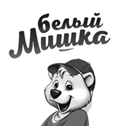 изображение из решения ППС