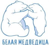 изображение из решения ППС