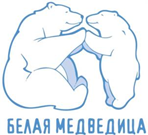 изображение из решения ППС