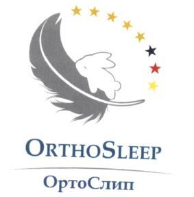 изображение из решения ППС