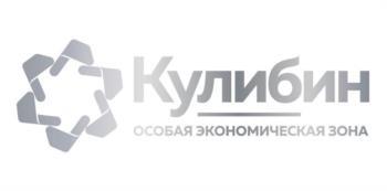 изображение из решения ППС