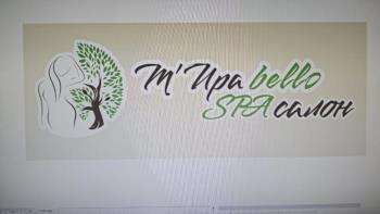 изображение из решения ППС