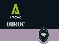 изображение из решения ППС