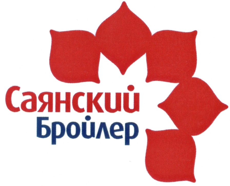изображение из решения