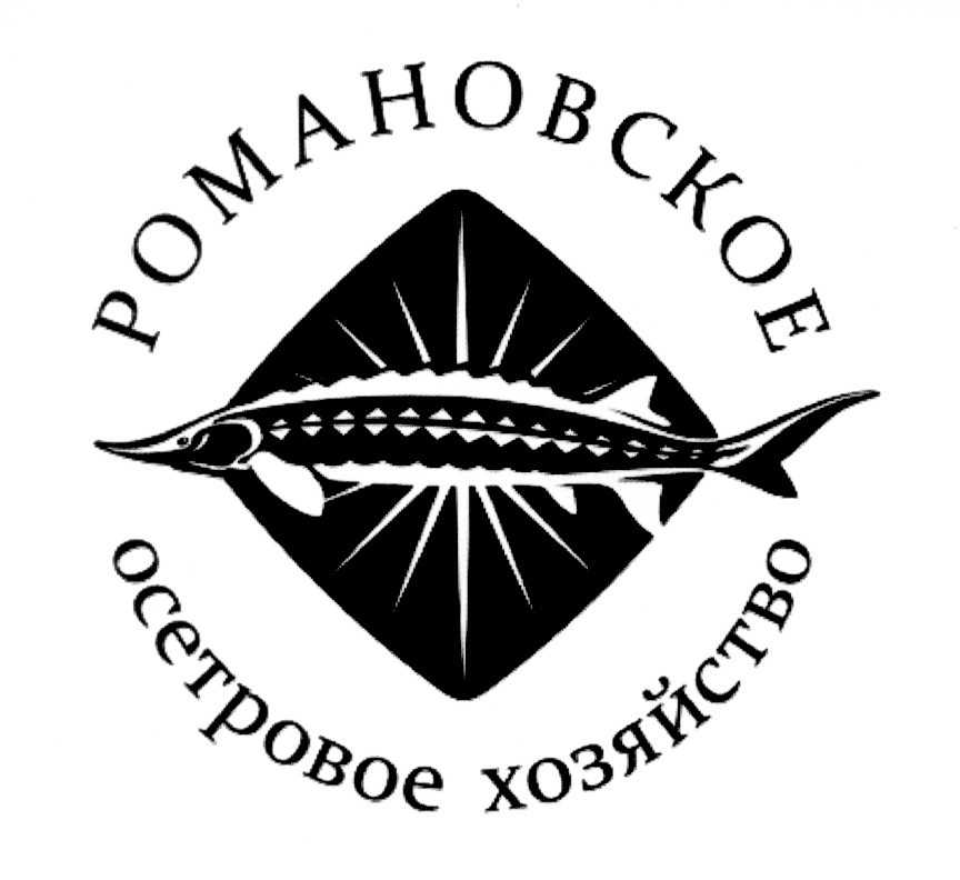изображение из решения