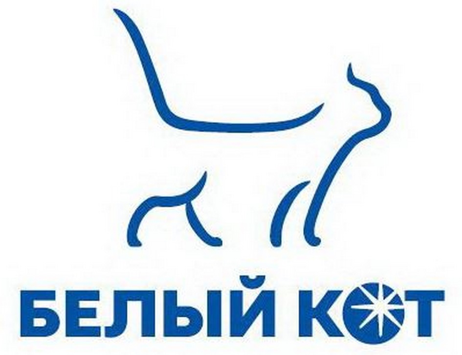 изображение из решения
