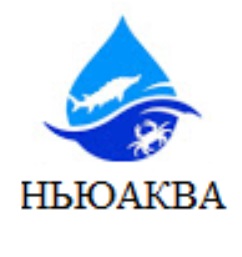 изображение из решения